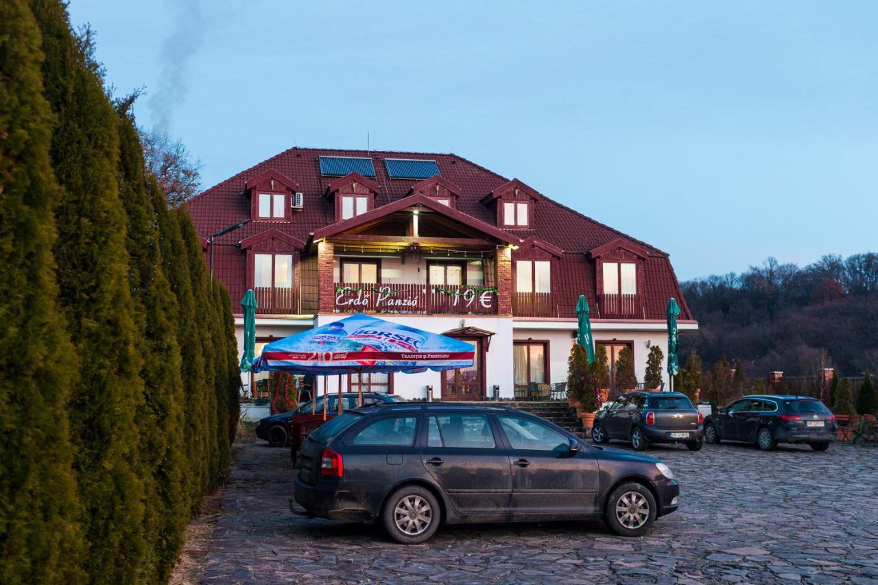 Pensiunea Si Restaurant Erdo Odorheiu Secuiesc Exterior photo