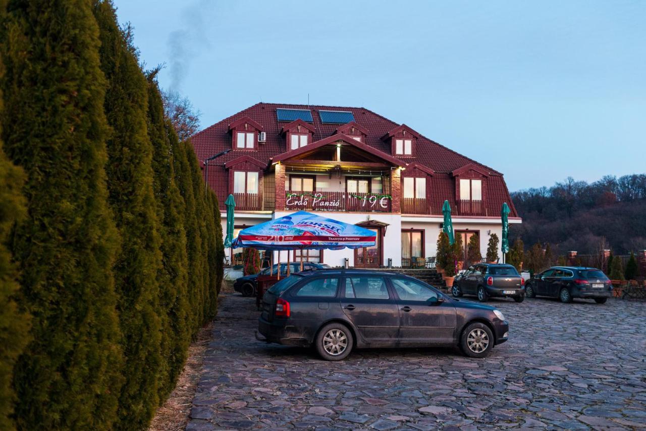 Pensiunea Si Restaurant Erdo Odorheiu Secuiesc Exterior photo